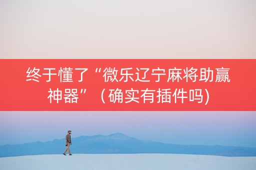 终于懂了“微乐辽宁麻将助赢神器”（确实有插件吗)
