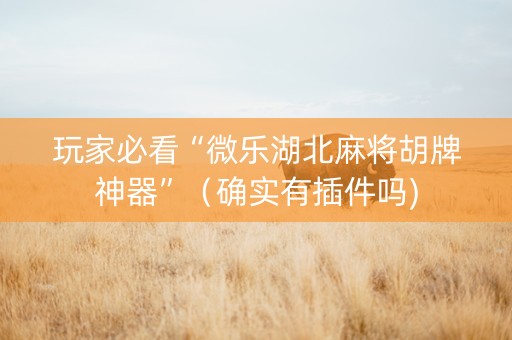 玩家必看“微乐湖北麻将胡牌神器”（确实有插件吗)