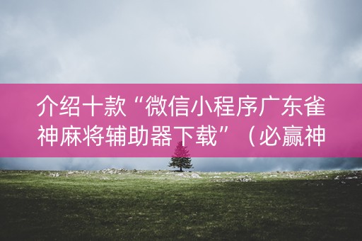 介绍十款“微信小程序广东雀神麻将辅助器下载”（必赢神器)