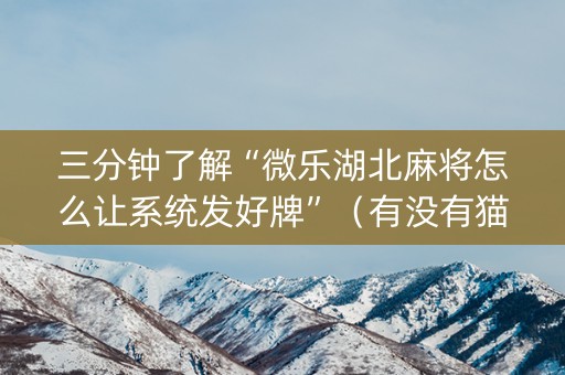 三分钟了解“微乐湖北麻将怎么让系统发好牌”（有没有猫腻)