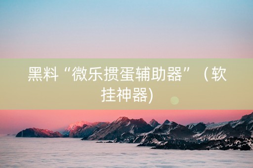 黑料“微乐掼蛋辅助器”（软挂神器)