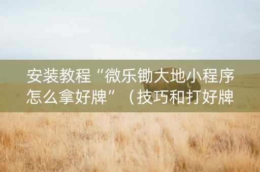 安装教程“微乐锄大地小程序怎么拿好牌”（技巧和打好牌方法)