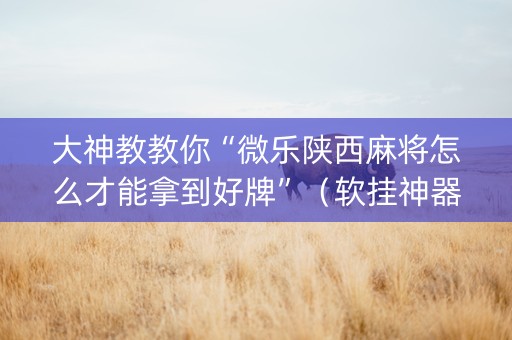 大神教教你“微乐陕西麻将怎么才能拿到好牌”（软挂神器)