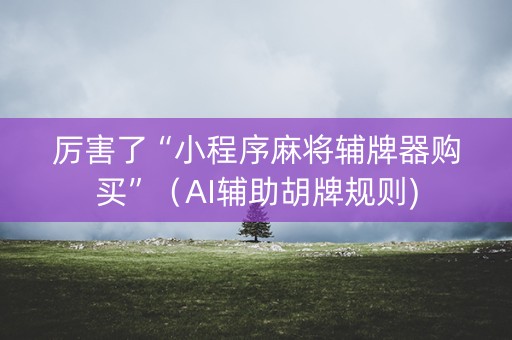 厉害了“小程序麻将辅牌器购买”（AI辅助胡牌规则)