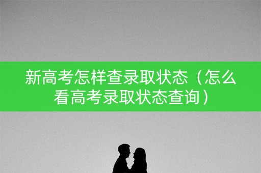 新高考怎样查录取状态（怎么看高考录取状态查询）