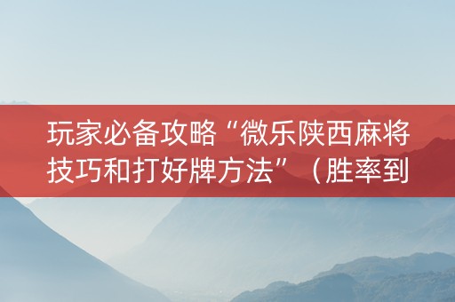 玩家必备攻略“微乐陕西麻将技巧和打好牌方法”（胜率到哪调)