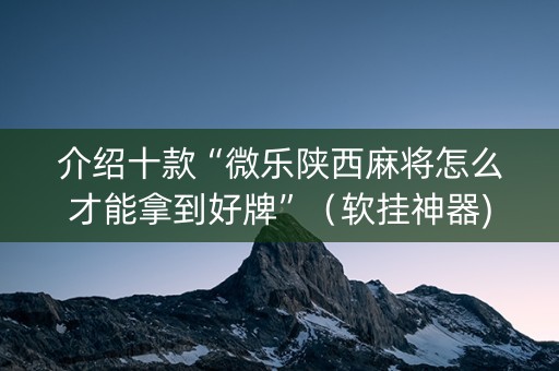 介绍十款“微乐陕西麻将怎么才能拿到好牌”（软挂神器)