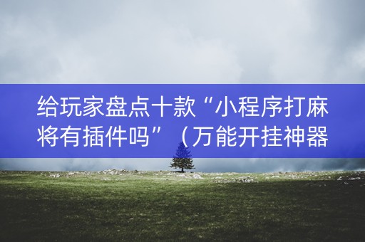 给玩家盘点十款“小程序打麻将有插件吗”（万能开挂神器)