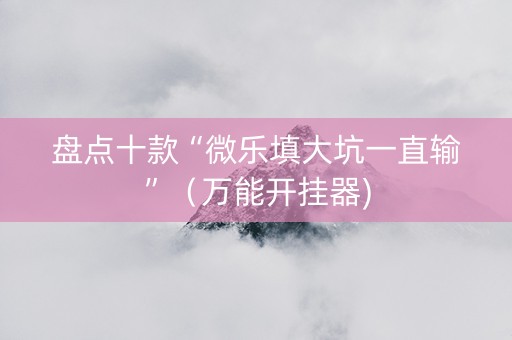 盘点十款“微乐填大坑一直输”（万能开挂器)