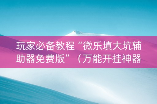 玩家必备教程“微乐填大坑辅助器免费版”（万能开挂神器)