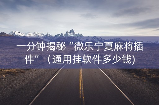 一分钟揭秘“微乐宁夏麻将插件”（通用挂软件多少钱)