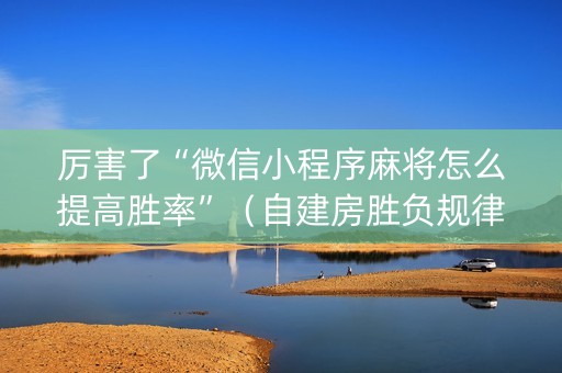 厉害了“微信小程序麻将怎么提高胜率”（自建房胜负规律)
