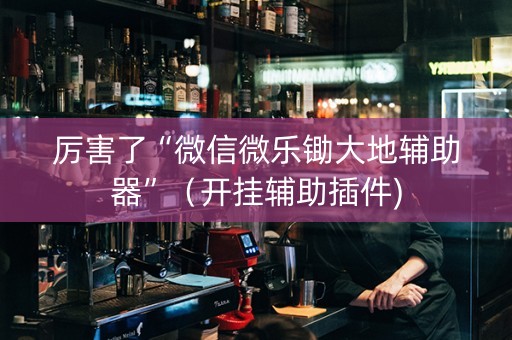 厉害了“微信微乐锄大地辅助器”（开挂辅助插件)