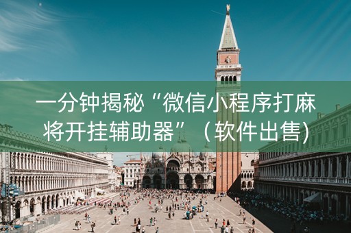 一分钟揭秘“微信小程序打麻将开挂辅助器”（软件出售)