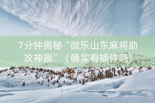 7分钟揭秘“微乐山东麻将助攻神器”（确实有插件吗)