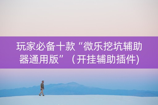 玩家必备十款“微乐挖坑辅助器通用版”（开挂辅助插件)