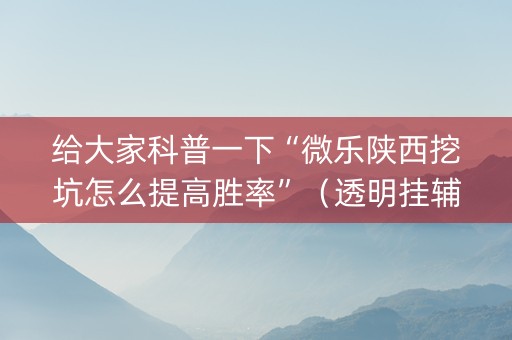 给大家科普一下“微乐陕西挖坑怎么提高胜率”（透明挂辅助器)