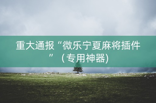 重大通报“微乐宁夏麻将插件”（专用神器)