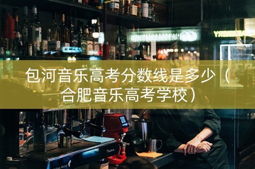 包河音乐高考分数线是多少（合肥音乐高考学校）
