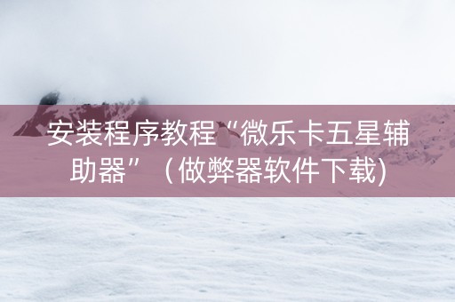 安装程序教程“微乐卡五星辅助器”（做弊器软件下载)