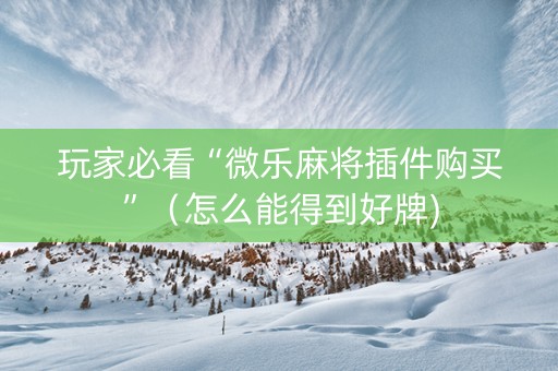 玩家必看“微乐麻将插件购买”（怎么能得到好牌)