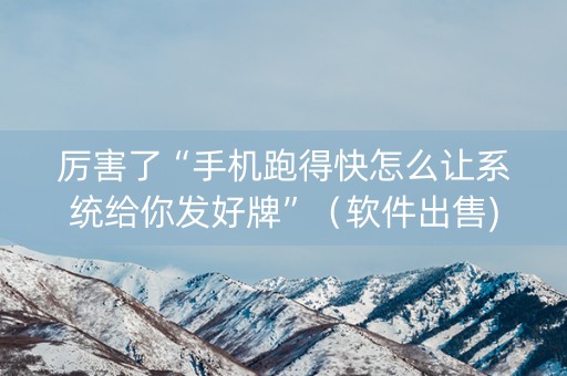 厉害了“手机跑得快怎么让系统给你发好牌”（软件出售)