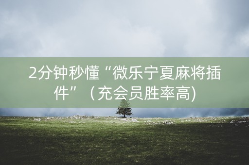 2分钟秒懂“微乐宁夏麻将插件”（充会员胜率高)