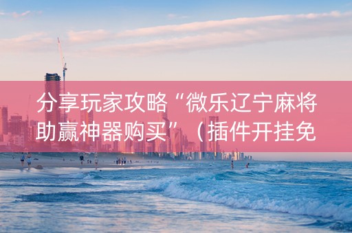 分享玩家攻略“微乐辽宁麻将助赢神器购买”（插件开挂免费AI)