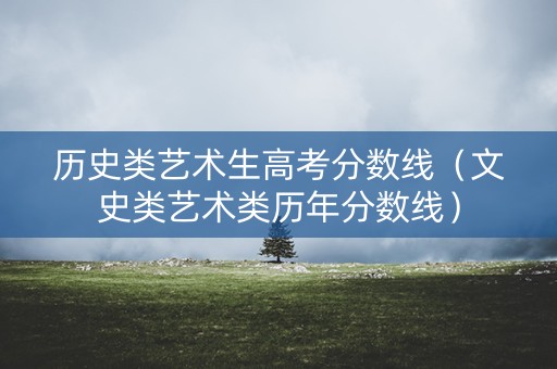 历史类艺术生高考分数线（文史类艺术类历年分数线）