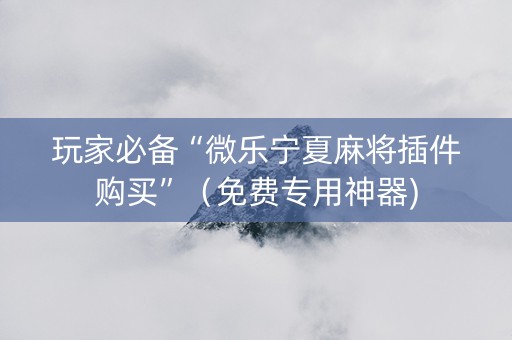 玩家必备“微乐宁夏麻将插件购买”（免费专用神器)