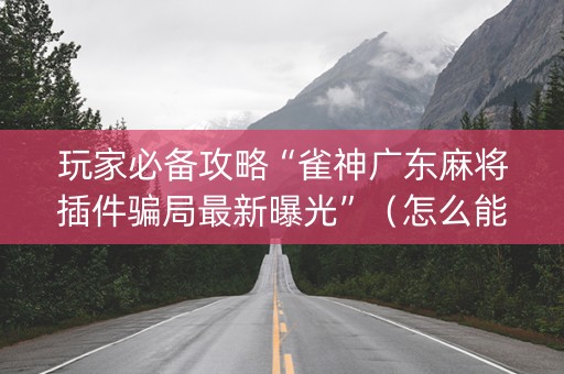 玩家必备攻略“雀神广东麻将插件骗局最新曝光”（怎么能调好牌)