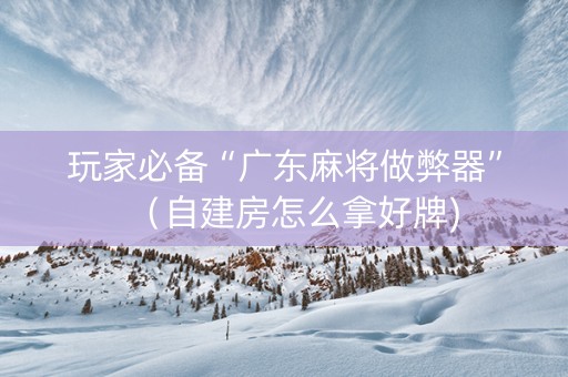 玩家必备“广东麻将做弊器”（自建房怎么拿好牌)
