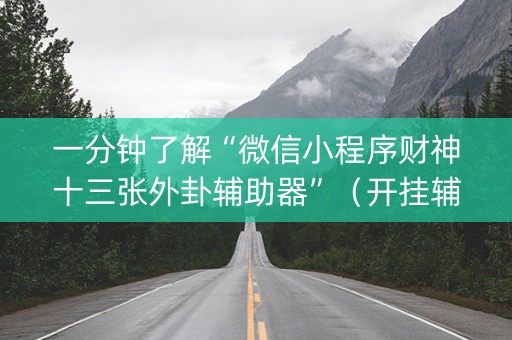 一分钟了解“微信小程序财神十三张外卦辅助器”（开挂辅助脚本)
