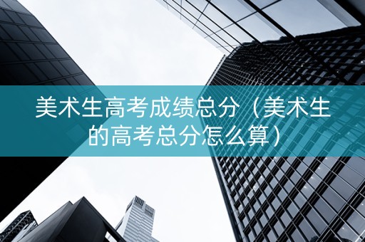 美术生高考成绩总分（美术生的高考总分怎么算）
