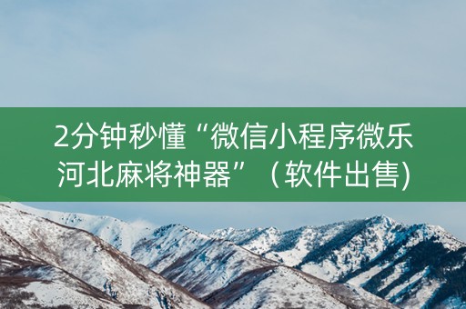 2分钟秒懂“微信小程序微乐河北麻将神器”（软件出售)