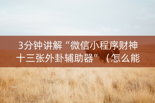 3分钟讲解“微信小程序财神十三张外卦辅助器”（怎么能调好牌)