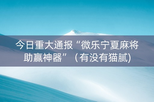 今日重大通报“微乐宁夏麻将助赢神器”（有没有猫腻)