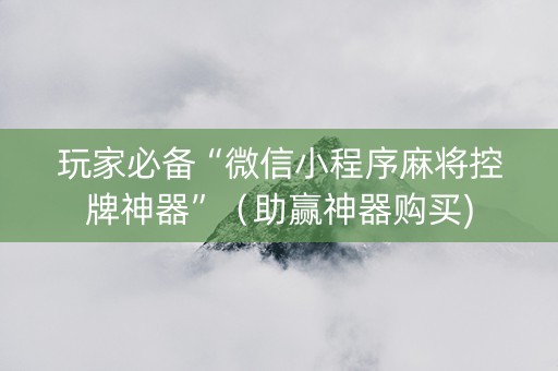 玩家必备“微信小程序麻将控牌神器”（助赢神器购买)