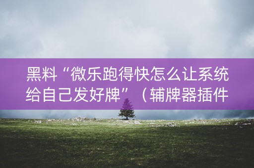黑料“微乐跑得快怎么让系统给自己发好牌”（辅牌器插件购买)