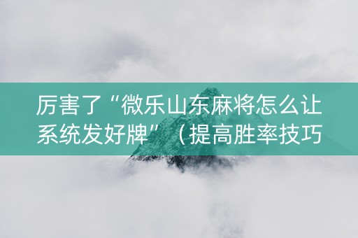 厉害了“微乐山东麻将怎么让系统发好牌”（提高胜率技巧)