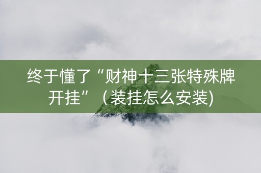 终于懂了“财神十三张特殊牌开挂”（装挂怎么安装)