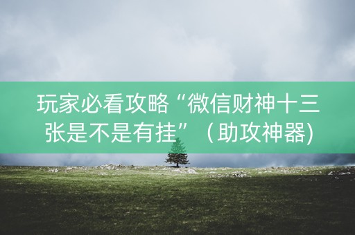 玩家必看攻略“微信财神十三张是不是有挂”（助攻神器)