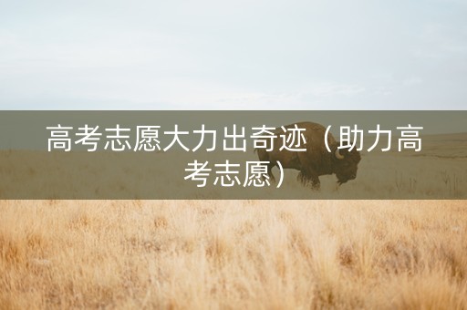 高考志愿大力出奇迹（助力高考志愿）