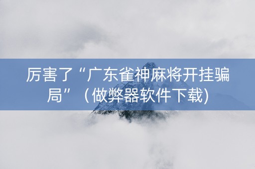 厉害了“广东雀神麻将开挂骗局”（做弊器软件下载)