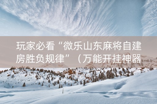 玩家必看“微乐山东麻将自建房胜负规律”（万能开挂神器)