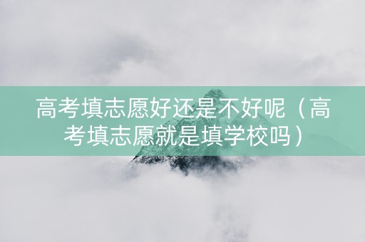 高考填志愿好还是不好呢（高考填志愿就是填学校吗）