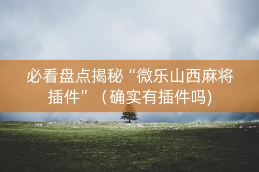 必看盘点揭秘“微乐山西麻将插件”（确实有插件吗)
