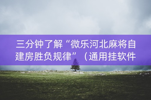 三分钟了解“微乐河北麻将自建房胜负规律”（通用挂软件多少钱)