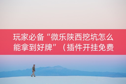 玩家必备“微乐陕西挖坑怎么能拿到好牌”（插件开挂免费AI)