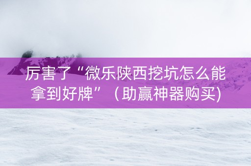 厉害了“微乐陕西挖坑怎么能拿到好牌”（助赢神器购买)